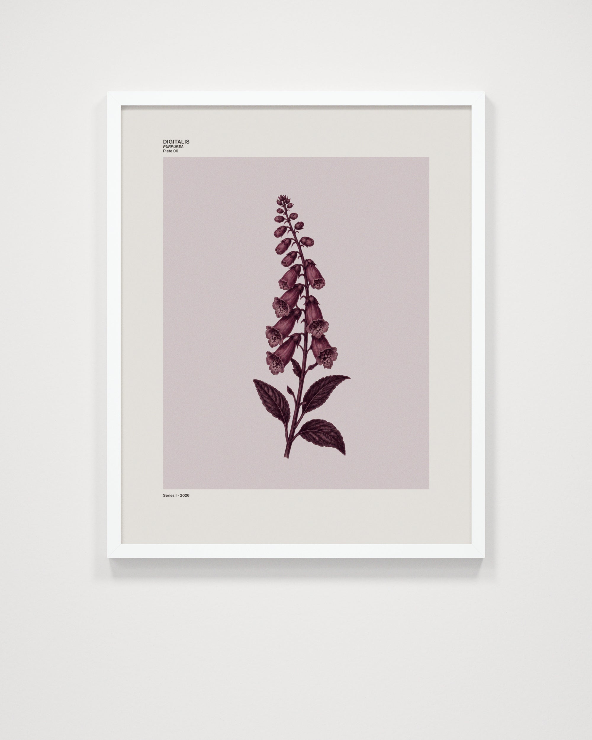 Digitalis