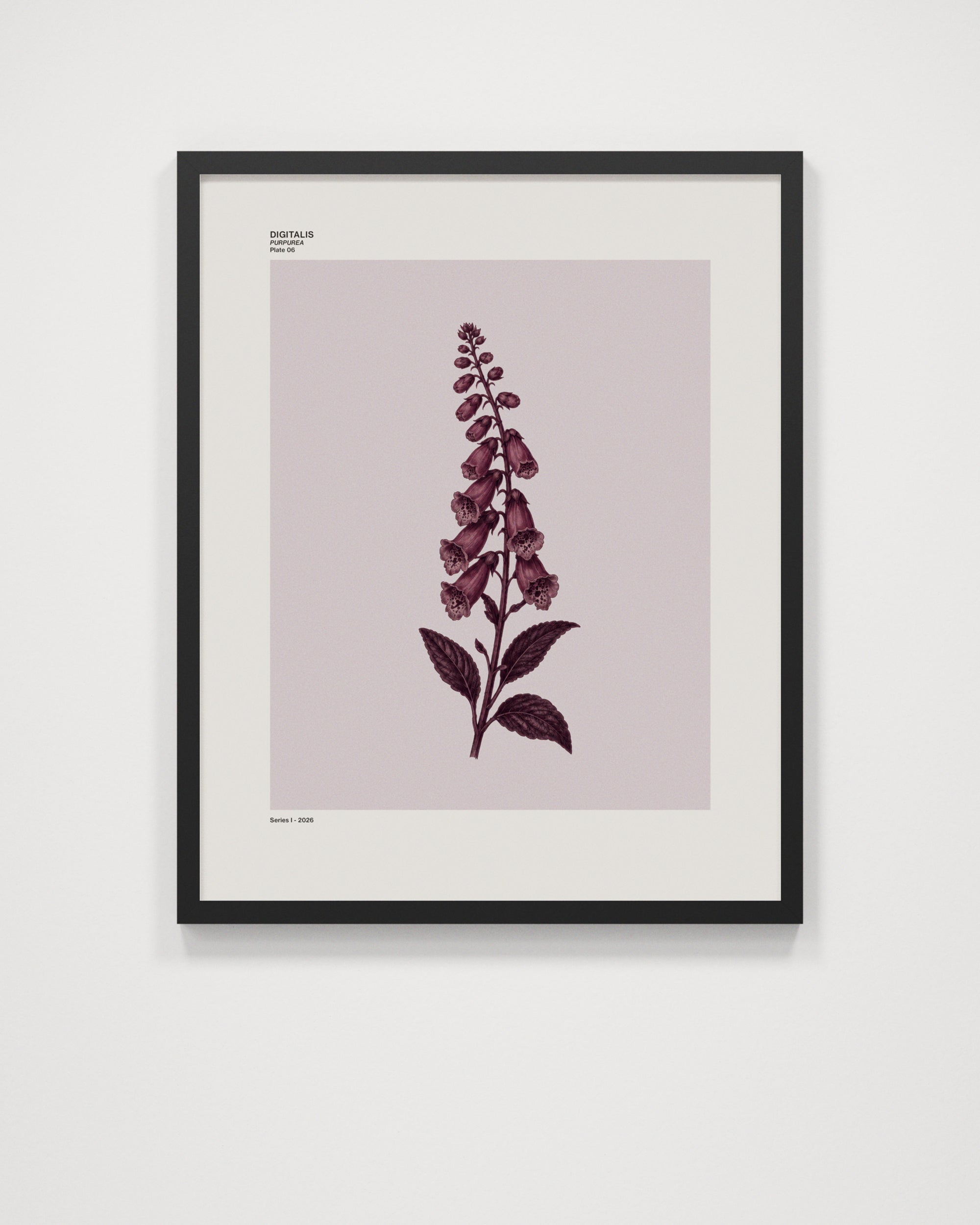 Digitalis